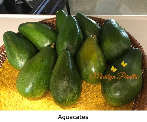 Aguacates 1