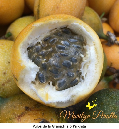Pulpa de la Granadilla o Parchita