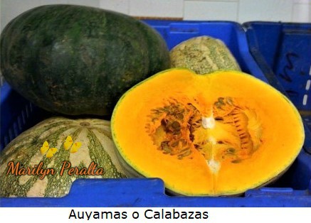 Auyamas o Calabazas