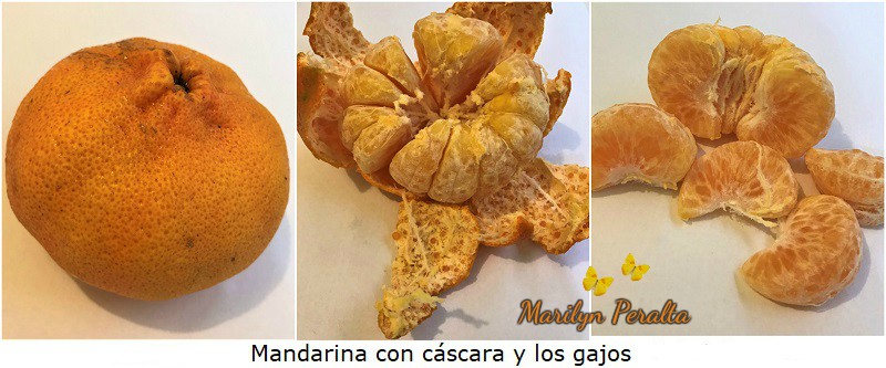 Mandarina y gajos