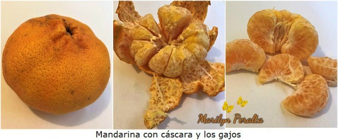 Mandarina y gajos