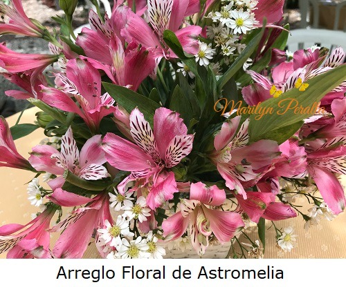 Arreglo floral de Astromelia