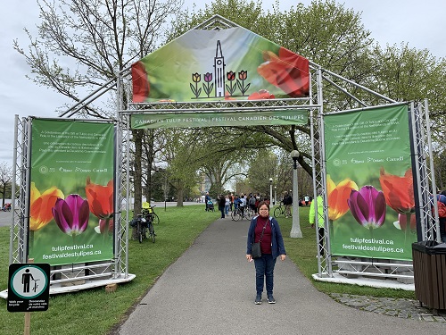 Festival de los Tulipanes 1