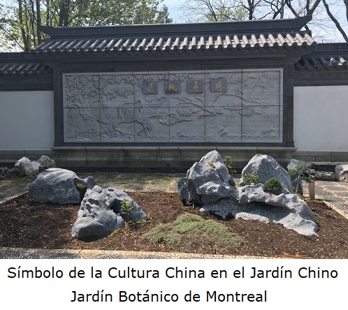 Jardin Chino 1