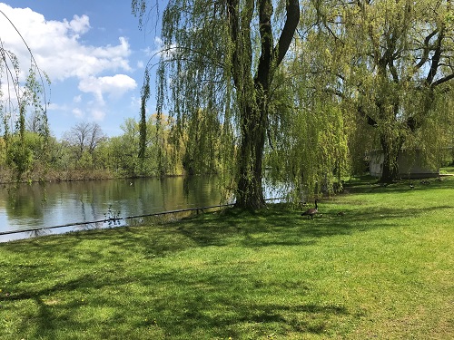 Toronto Island Park, Lago Ontario, 2