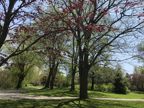Toronto Island Park, Lago Ontario, 3