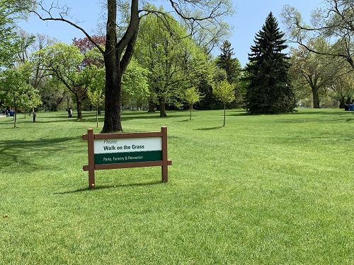 Toronto Island Park, Lago Ontario, 5