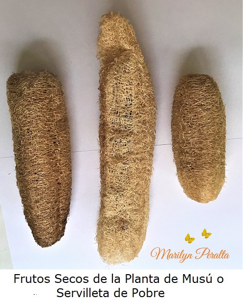 Frutos secos de Musu o Servilleta de Pobre